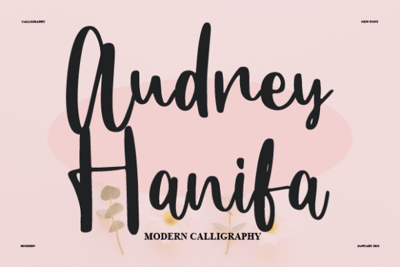 Audrey Hanifa: Stylish Script for Design