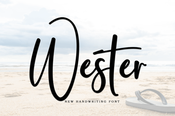 Wester: Elevating Visual Storytelling Through Modern Typography